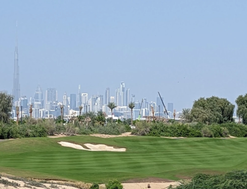 Top 8 Best Golf Courses in Dubai for an Unforgettable Experience