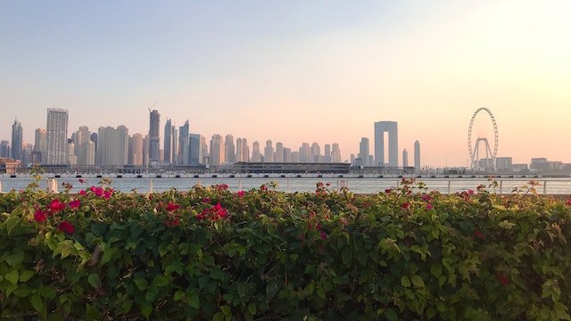 pexels dmitri tarelkin 6935057 11